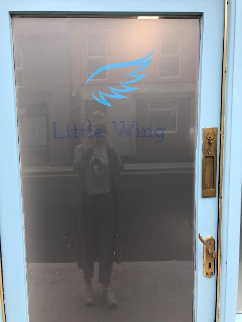 Little Wing Play Therapy