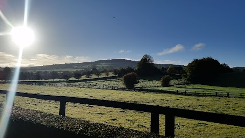 Kinnitty Village