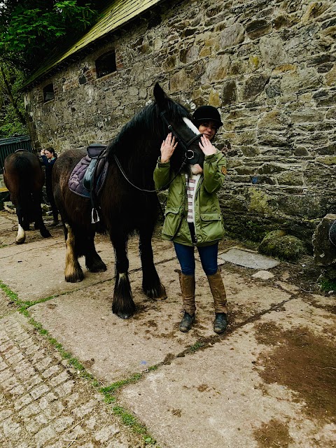 Burnham Horse Riding Centre Dingle