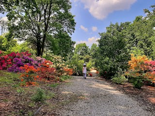 Śląski Ogród Botaniczny - Ogród Czerwony