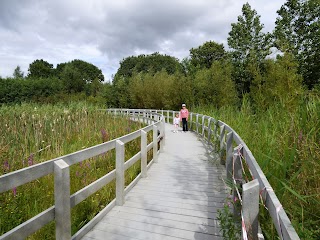 Castletroy Neighbourhood Park (Páirc Ceantair Chaladh an Treoigh)