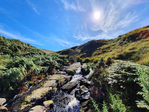 Tonevane Walk Kerry Camino