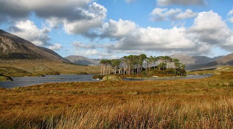 Eaglewood Lodge Westport, Co. Mayo Ireland