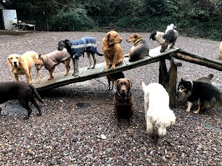 Muddy Paws Day Care