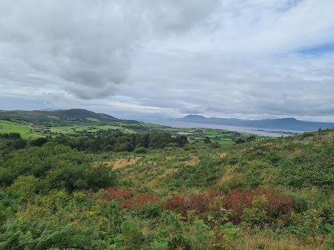 Bantry Bay Pony Trekking