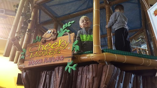 Cheeky Monkeys' Indoor Playland - St Catharines