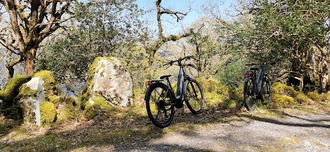 O'Sullivan's Killarney Rent a Bike