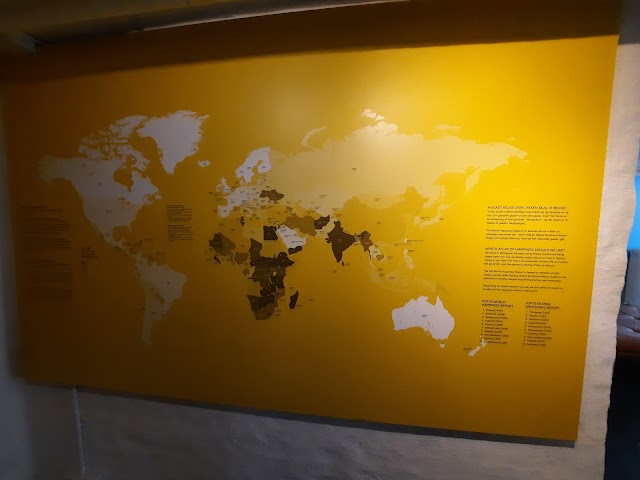 The Happiness Museum