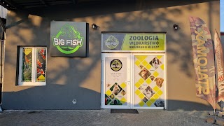 Big Fish Wędkarstwo i Zoologia