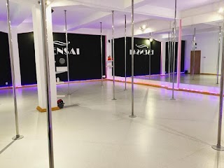 ESENSAI Pole Dance Studio