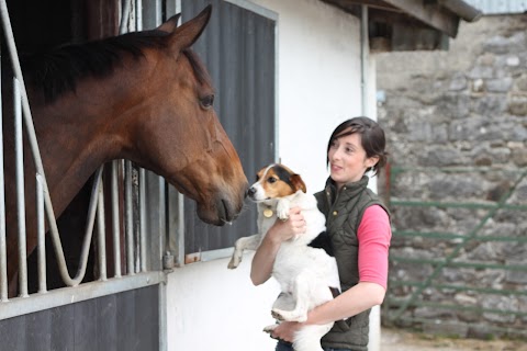 Ruth Boland Animal Physiotherapy