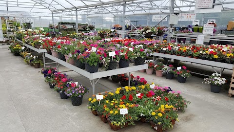 Milltown Garden Centre