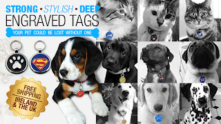 Pet Tags