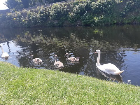 Killaloe Car Park