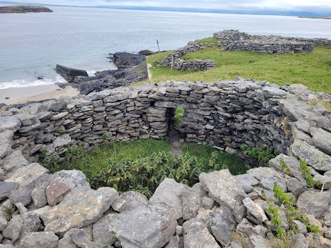 Tralee and Brandon Bay Eco-Marine Tours