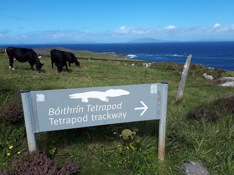 Tetrapod Car Park