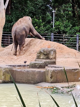 Melbourne Zoo