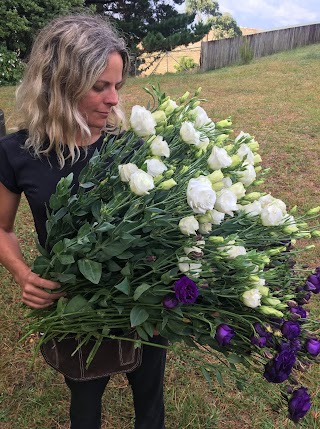 CROP Flower Farm