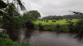 Mountrath Golf Club