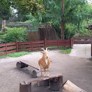 Ogród Zoobotaniczny w Toruniu