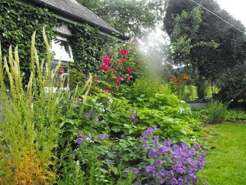 The Chestnut Cottage