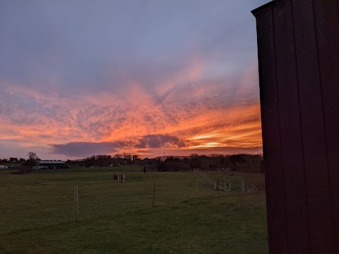 Slow Cabins Ireland | Self Catering Accommodation | Eco Friendly Unique Stay in Kinvara, Galway