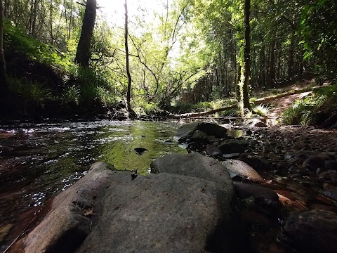 glansheskin meander