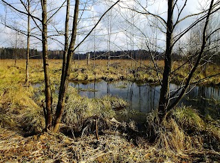 Źródlisko Radulinki