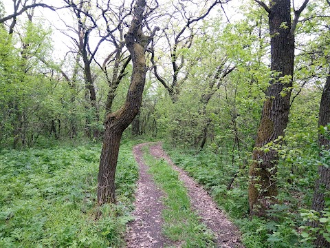 Детский лагерь им. С. Маркова