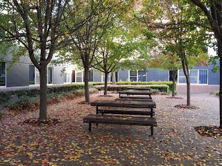 Western Sydney University The College