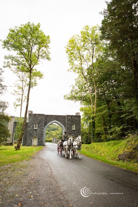 Sean Kilkenny Carriages, Trekking and Equine Services (thejarveyman)