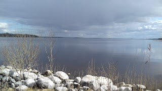 Island View Canine Creche