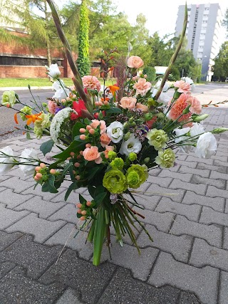 Kwiaciarnia Flower Box