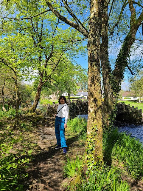 Oughterard Shrubbery