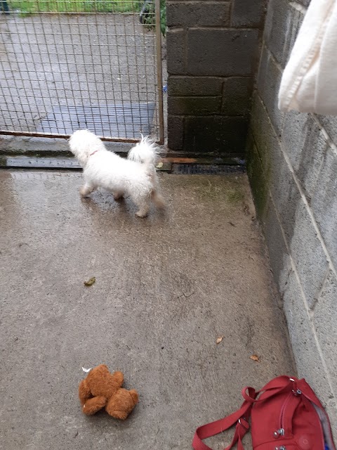 Johnduffswood Dog Boarding Kennels