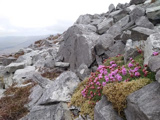 Derryclare (summit)