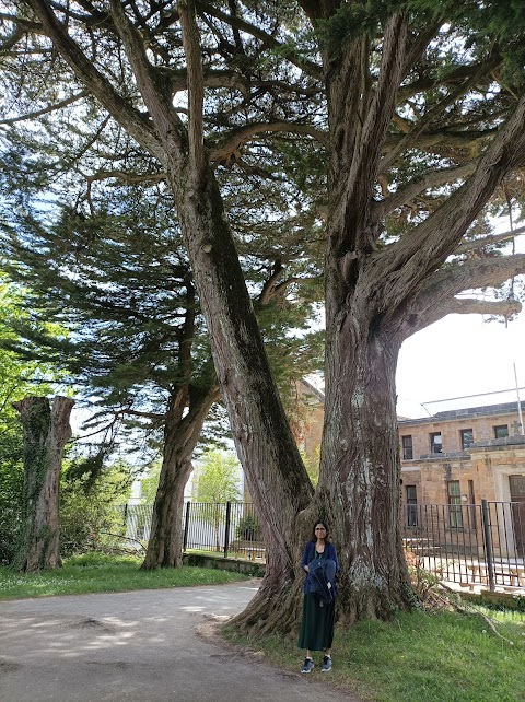 Park Of Tralee