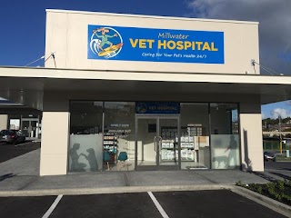 Millwater Vet Hospital