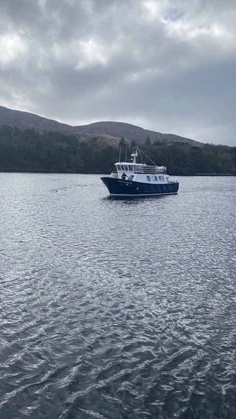 Kenmare Bay Boat Tours