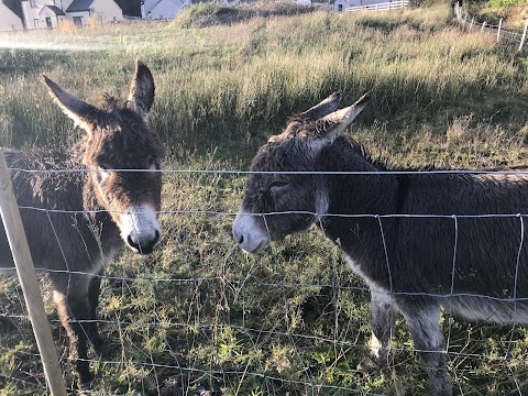 Sneem River Lodge B&B