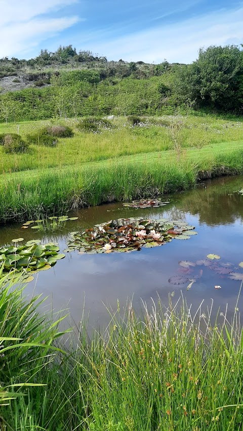 Heron Gallery Café & Gardens