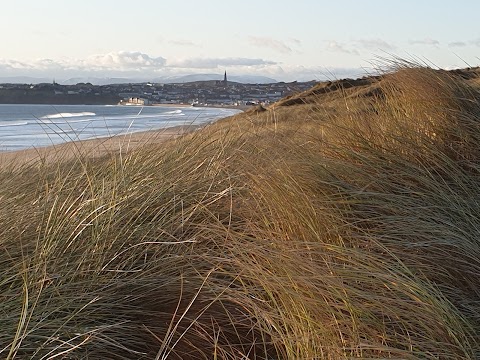 Oceanics Surf School & Marine Education Centre Tramore