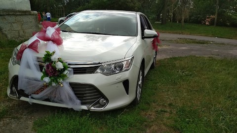 Весільні автомобілі Хмільник / wedding cars