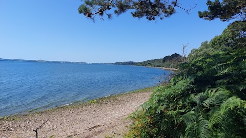 Marlogue Woods Forest Recreational Area