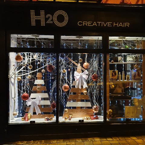 H2O Creative Hair
