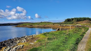 DK Connemara Oysters