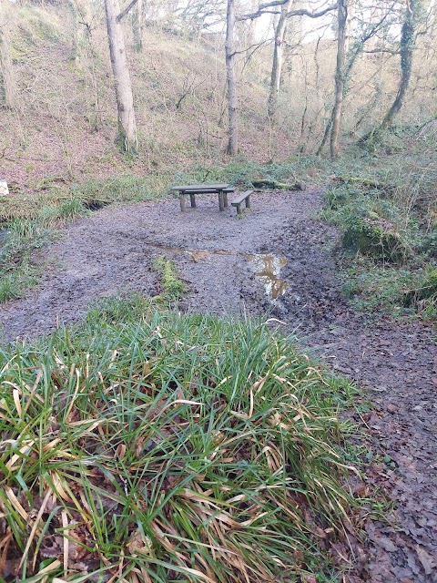 Glenroe Fairy Village