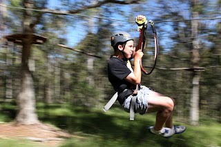 Treetops Adventure Western Sydney