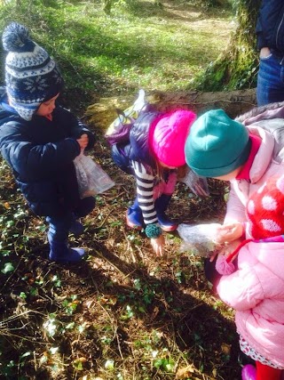 Nurture by Nature - Outdoor Early Learning And Mindfulness Centre