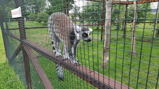 Lemur Park